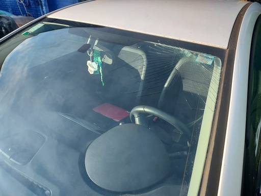 Pericial Daños Auto A1A (ampliacion de 1A)